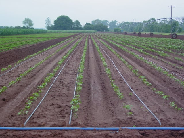 DRIP IRRIGATION ONE TO THE METHOD OF WATER MANAGEMENT – UR CIVIL ADVISOR