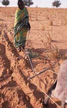 File:PA Darfur plough.JPG