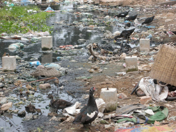File:3 polluted water.jpg