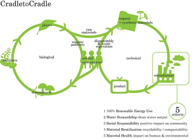 Recycled synthetics vs renewable fibres: Balancing sustainability