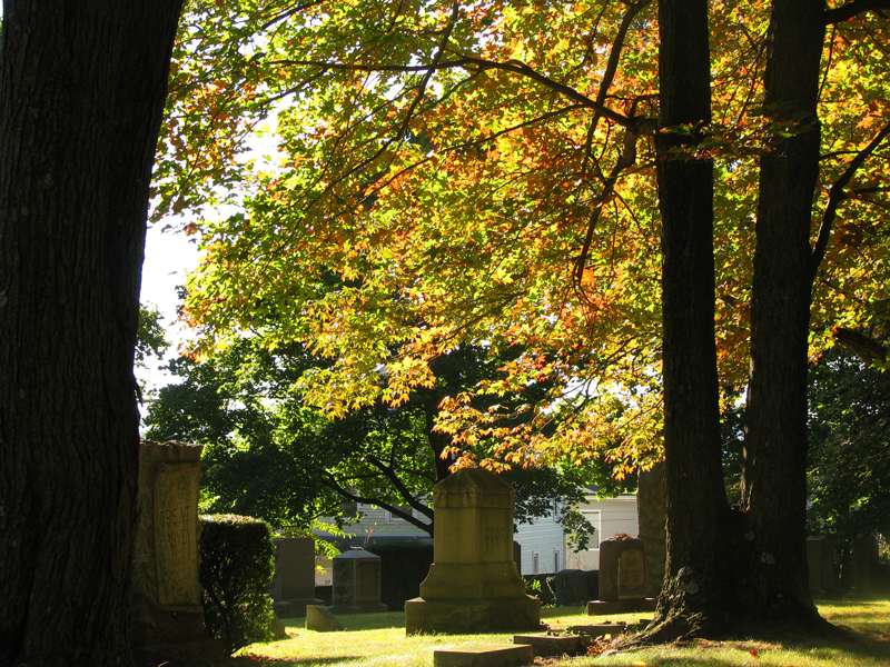 File:Morning Light through Trees in Riverside Cemetery, Waterbury.png