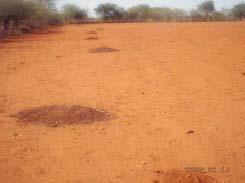 File:PA field in Gwanda.JPG
