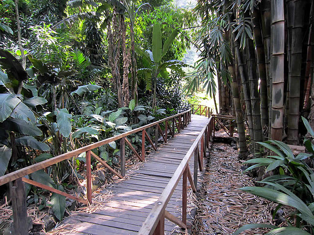 File:La Laguna Botanical Gardens.jpg