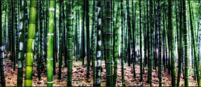 File:Bamboostand.png