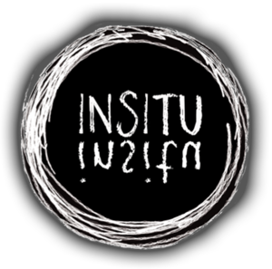 Logo insitu.png