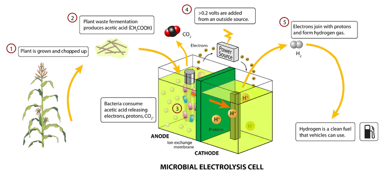 File:Microbial electrolysis cell.png