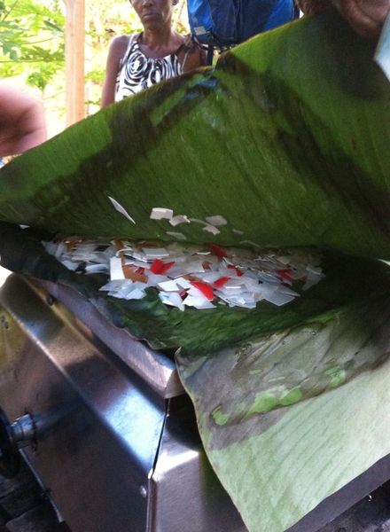 File:Banana leaf HDPE plastic melt.jpg