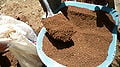 Fig. 1j: mezcla de tierra con arena tamizada