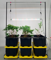 Open-Source Indoor Horizontal Grow Structure Designs