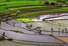 Nagacadan Rice Terraces, Philippines.jpg