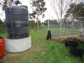 Figure 16 Rainwater Catchment System just outside of the garden (Photo by: K. Vincent)