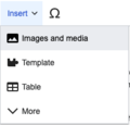 Once you are on the visual editor click on "Insert" and select "Images and media".