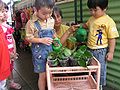 Mengajar anak mencintai tanaman.jpg