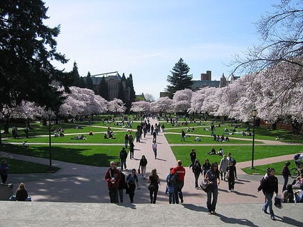 University of Washington Quad, Spring 2007.jpg