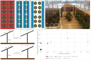 [Uniform Thin Film and Non-uniform Crystalline Silicon Semi-Transparent Solar Photovoltaic Modules for Strawberry Agrivoltaic Systems]