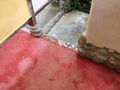 地板决定采用水泥，因为任何天然石膏都会随着经常淋浴而很快磨损。