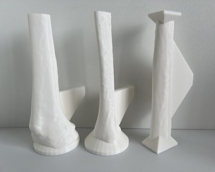 File:3D Printed Adult Male Tibial Bone Models v3.0.jpg