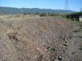 Fig 8: Side view of static compost pile at Arcata Marsh. Photo by Woodland Schultze 2008]]