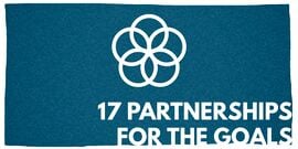 SDG-17-homepage.jpg
